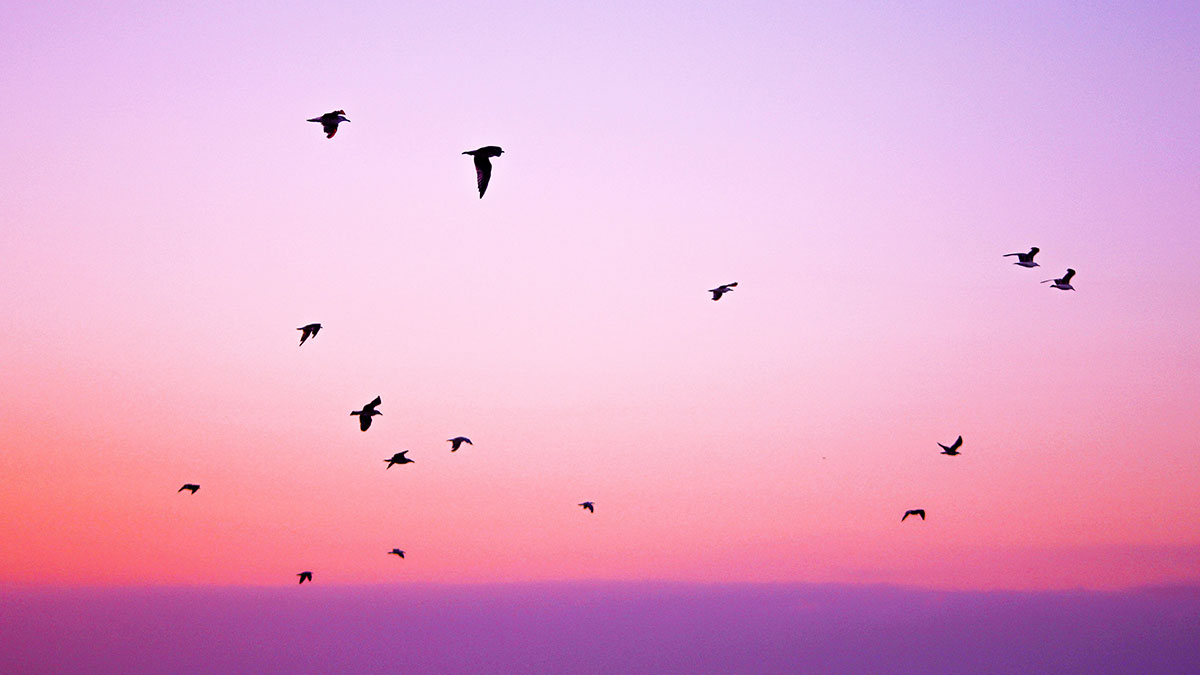 محصول فروشگاه آنلاین