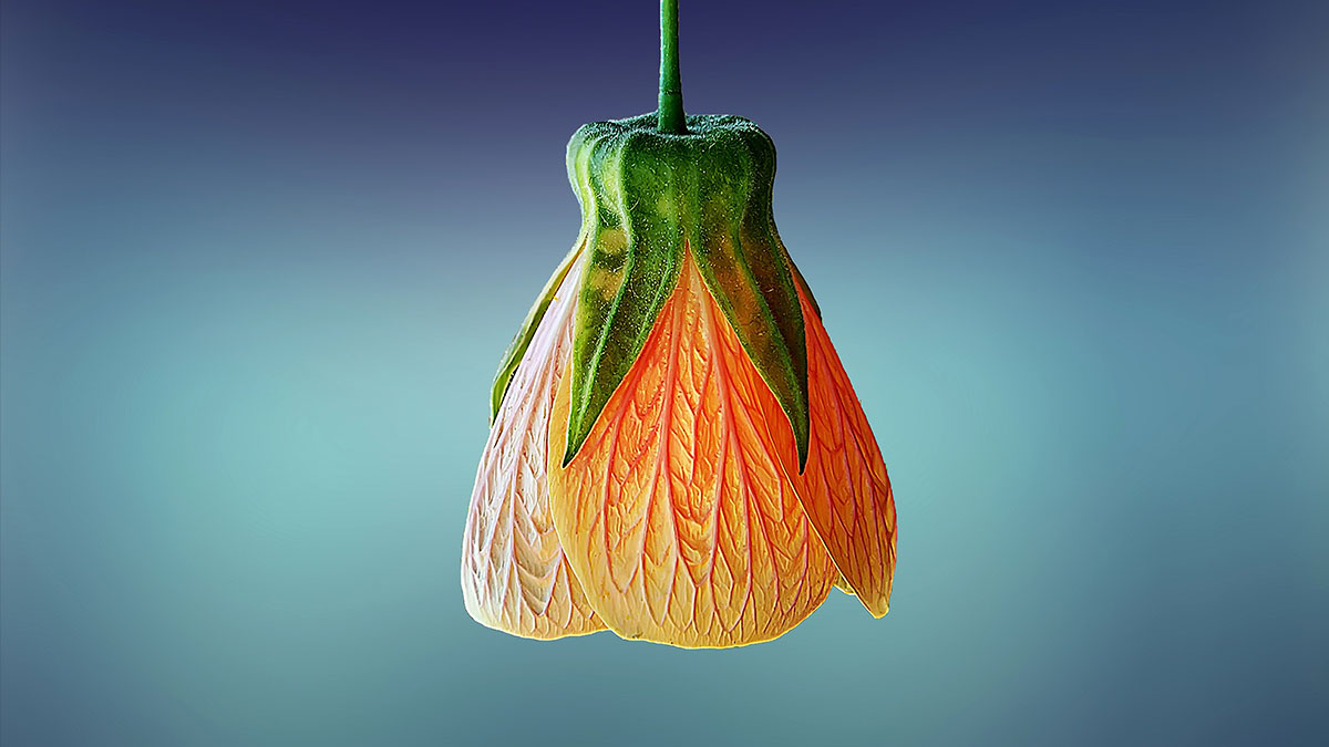 محصول فروشگاه آنلاین